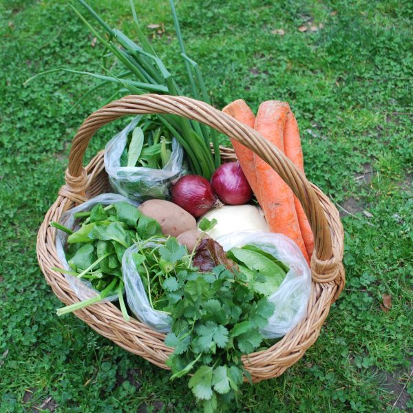 paniers_bio_Pixabay légumes