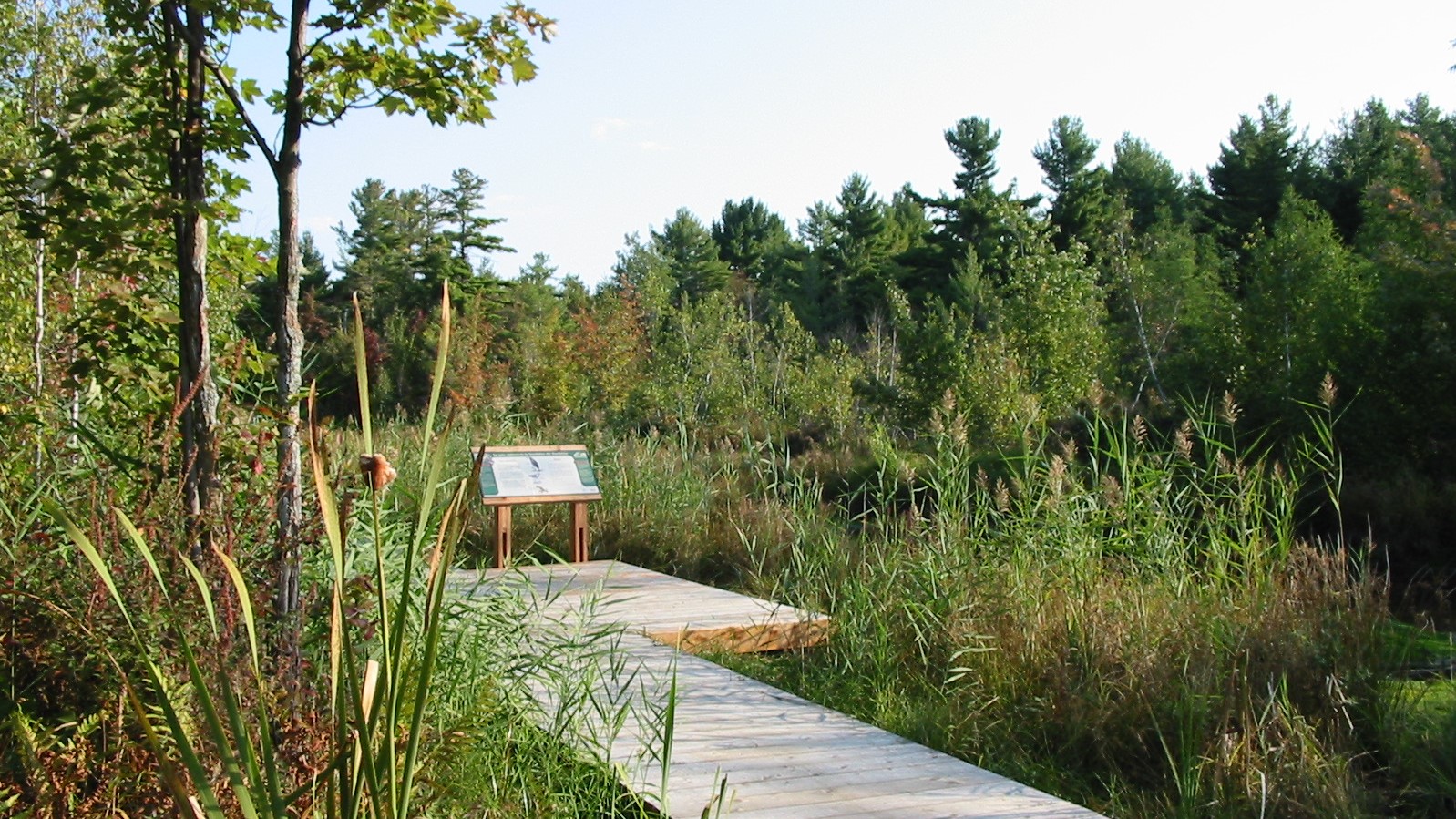 Parc naturel de la Tourbière-du-Bordelais