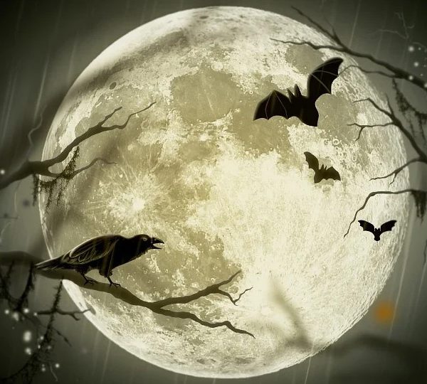 Parcours d'énigmes d'Halloween