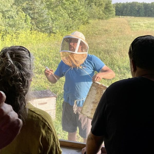 Visite apicole à la ferme Les Petites Écores