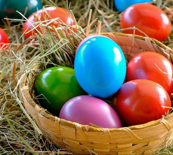 Easter egg hunt at Ferme Quinn