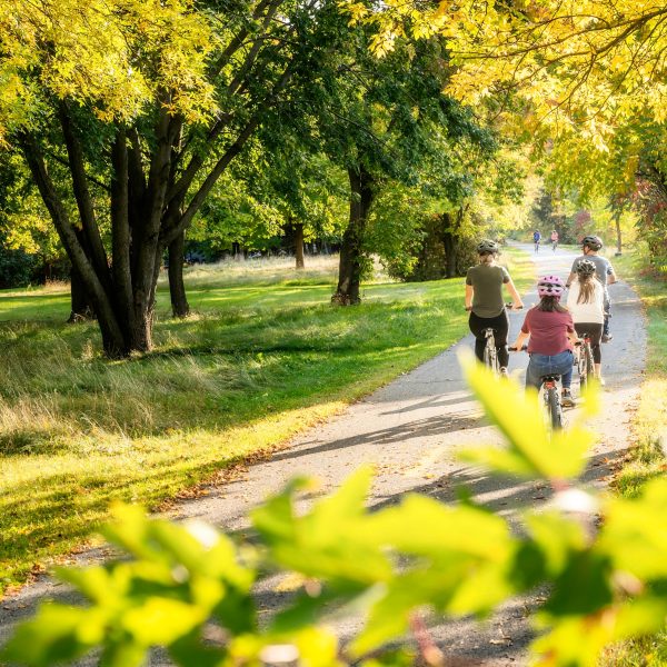 Guided ArchaeoStroll by bike