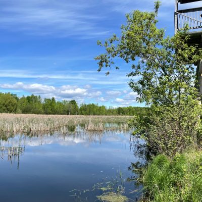 L'endroit pour faire une petite randonnée et observer la nature ...