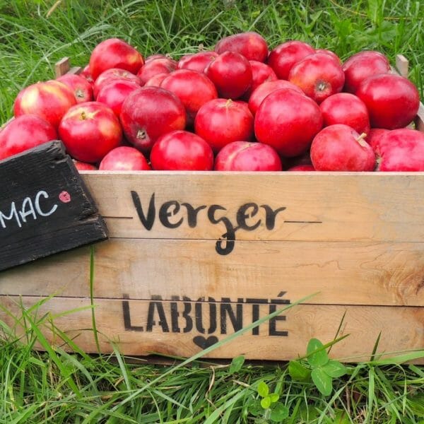 Conférence sur l'horticulture ornementale au Verger Labonté