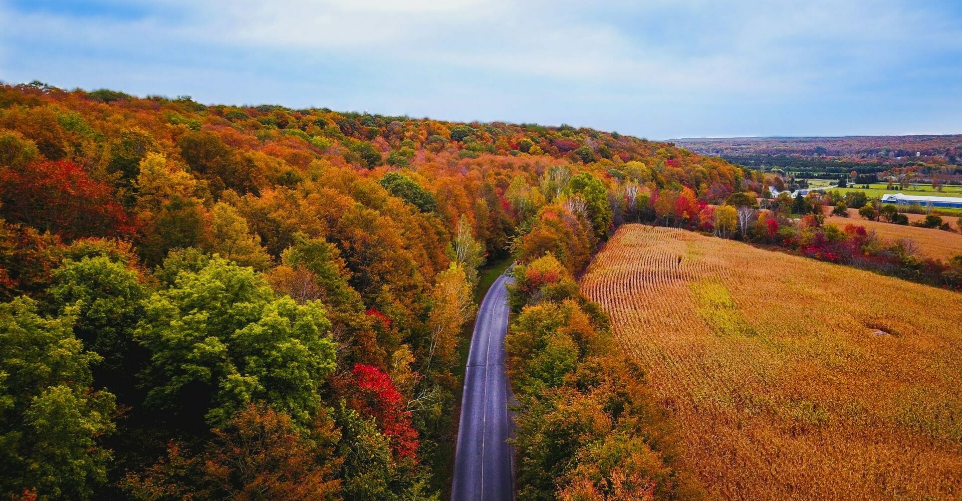 Route à travers un paysage d'automne