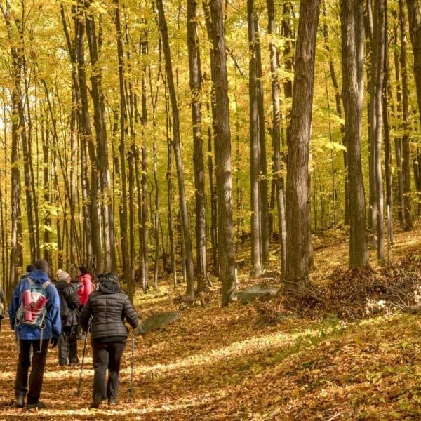 <span class="exp-italic">L'escapade </span><br>Hiking trail