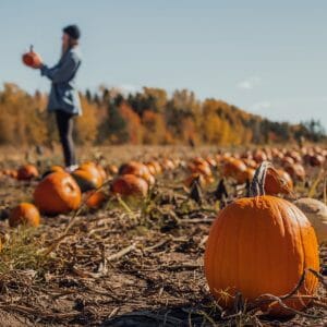 Tous les goûts sont dans la nature durant la saison des couleurs