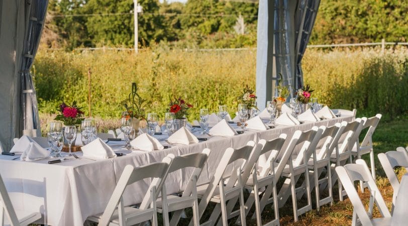 De la ferme à la table : 4 expériences gourmandes à découvrir