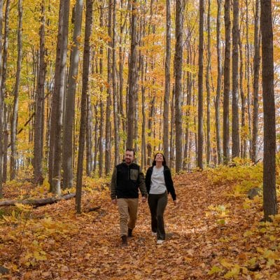 Mont Rigaud's Sentiers de L'escapade and other hiking trails
