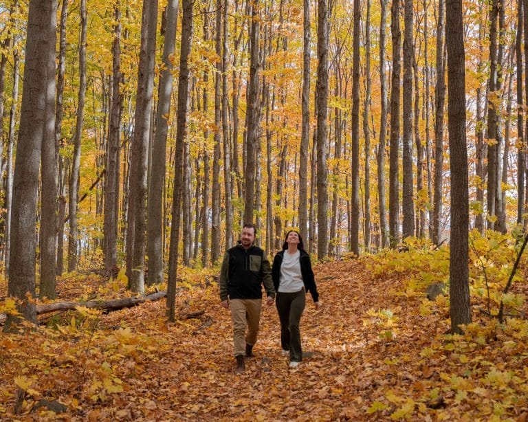 Profitez pleinement de l’automne au mont Rigaud