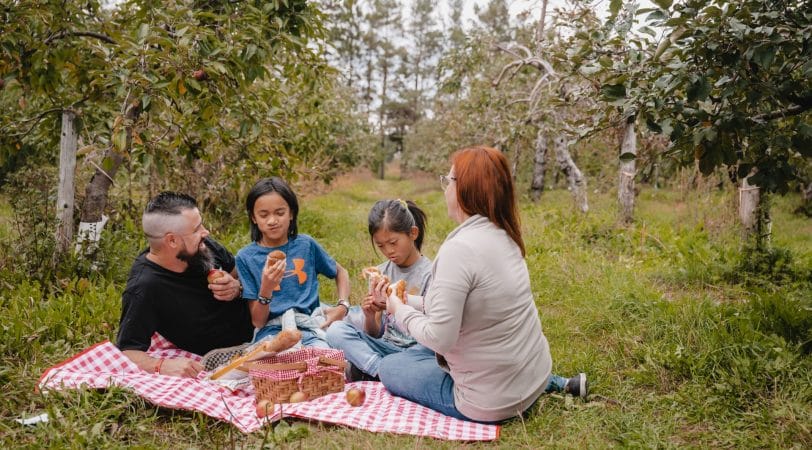 Ces vergers où savourer un repas après l’autocueillette