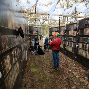 Halloween Haunted Trail