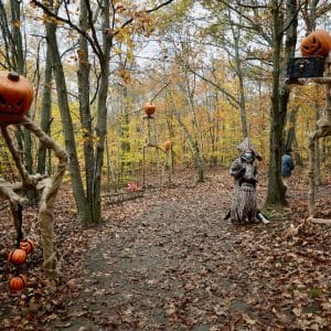 Halloween Haunted Trail